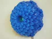 blueChrysanthemum