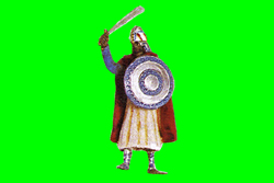 15 sec. video clip