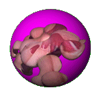 body without organs